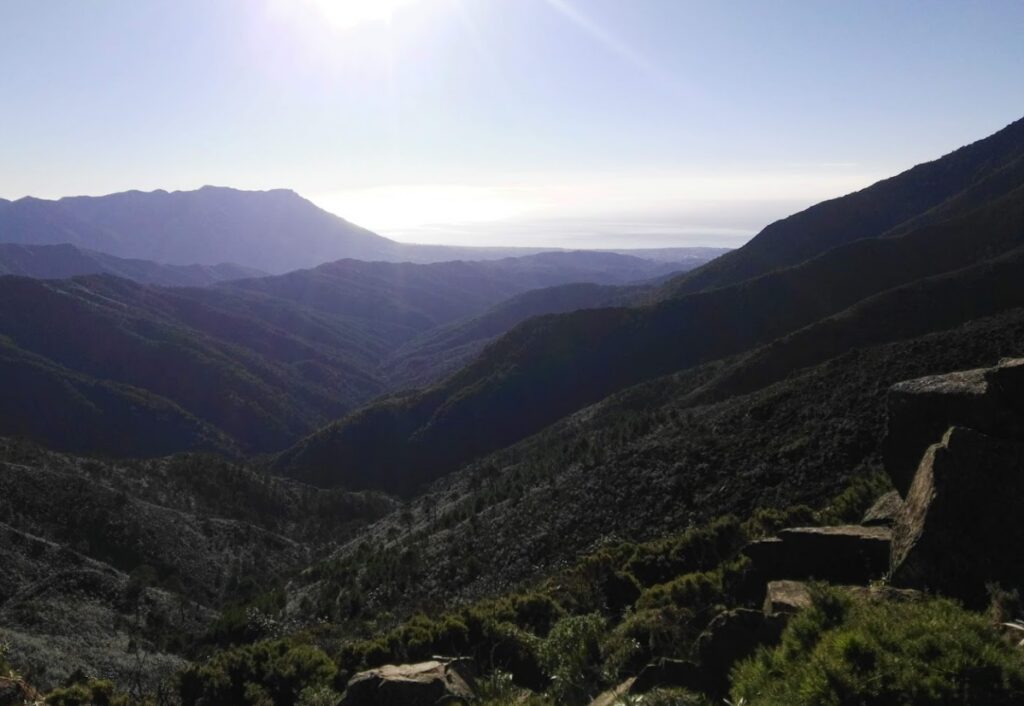 Inland Marbella drive